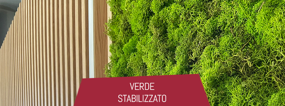 Giardino verticale con il verde stabilizzato